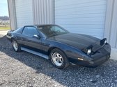 Classic 1982 Pontiac Firebird Car
