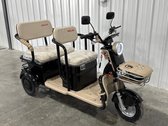 New Mini Electric Golf Cart