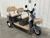 New Mini Electric Golf Cart