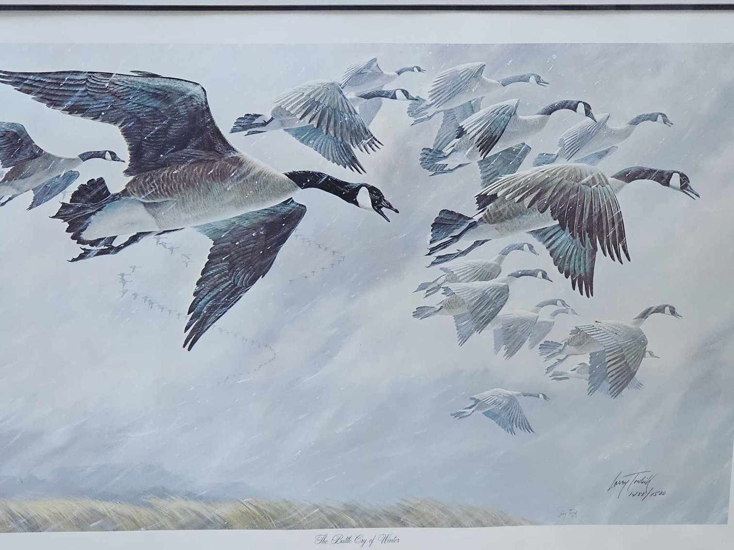 Image for June Consignments 2024