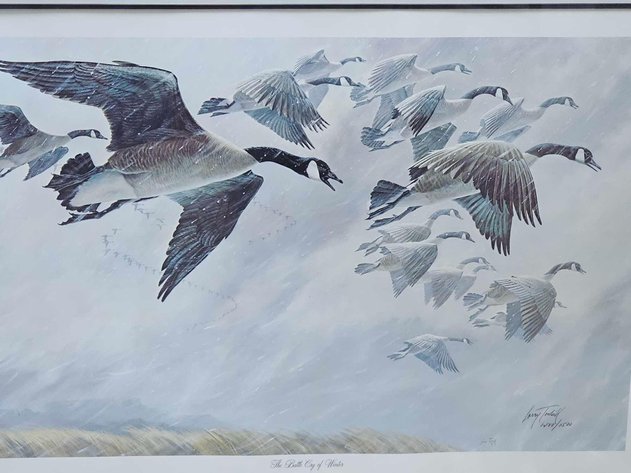 Image for June Consignments 2024