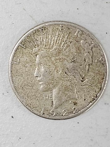 Image for Spring Discoveries