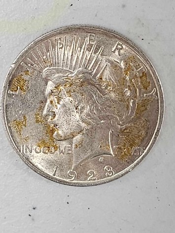 Image for Spring Discoveries