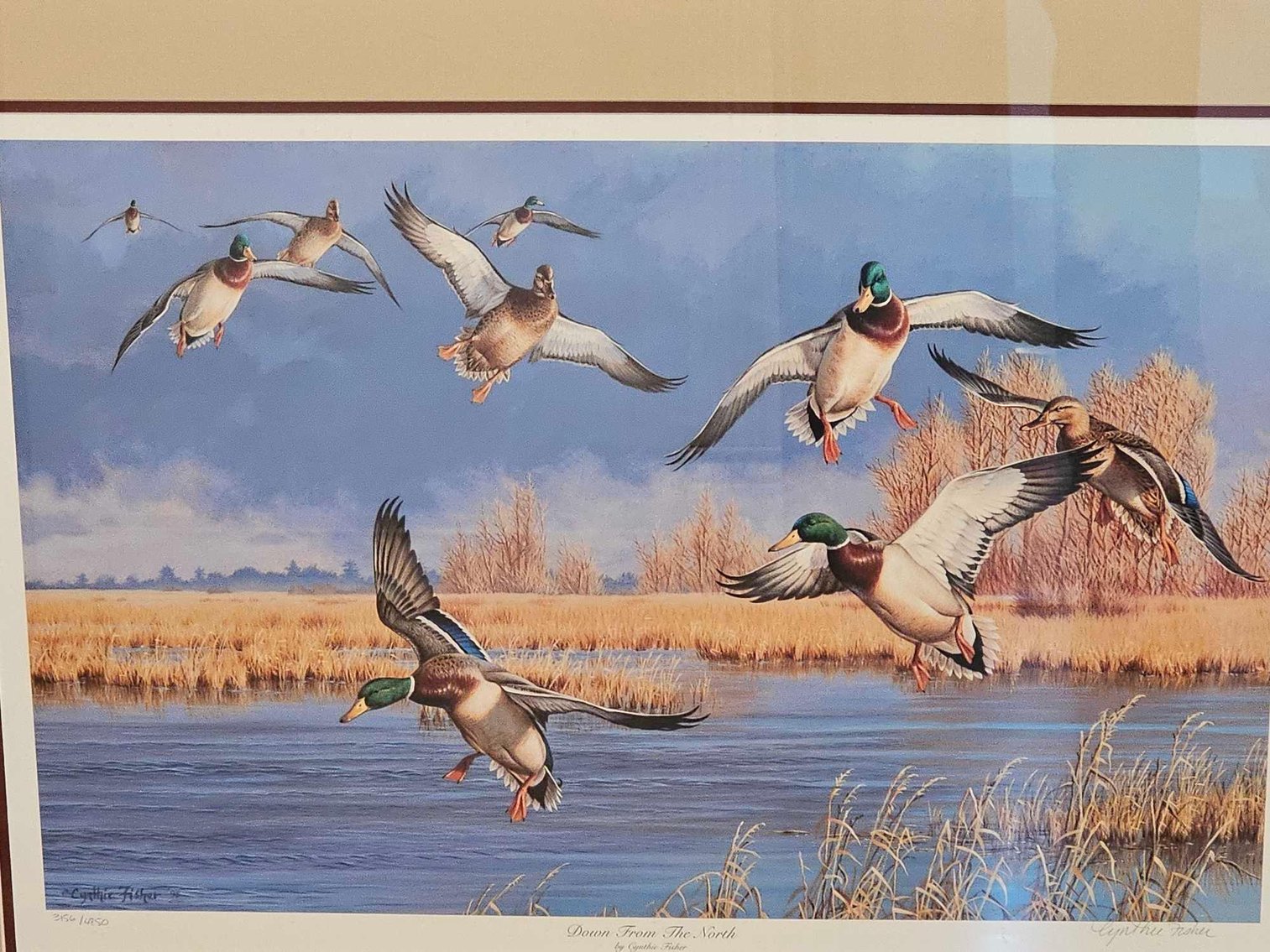 Image for Shannon Park Moving Sale