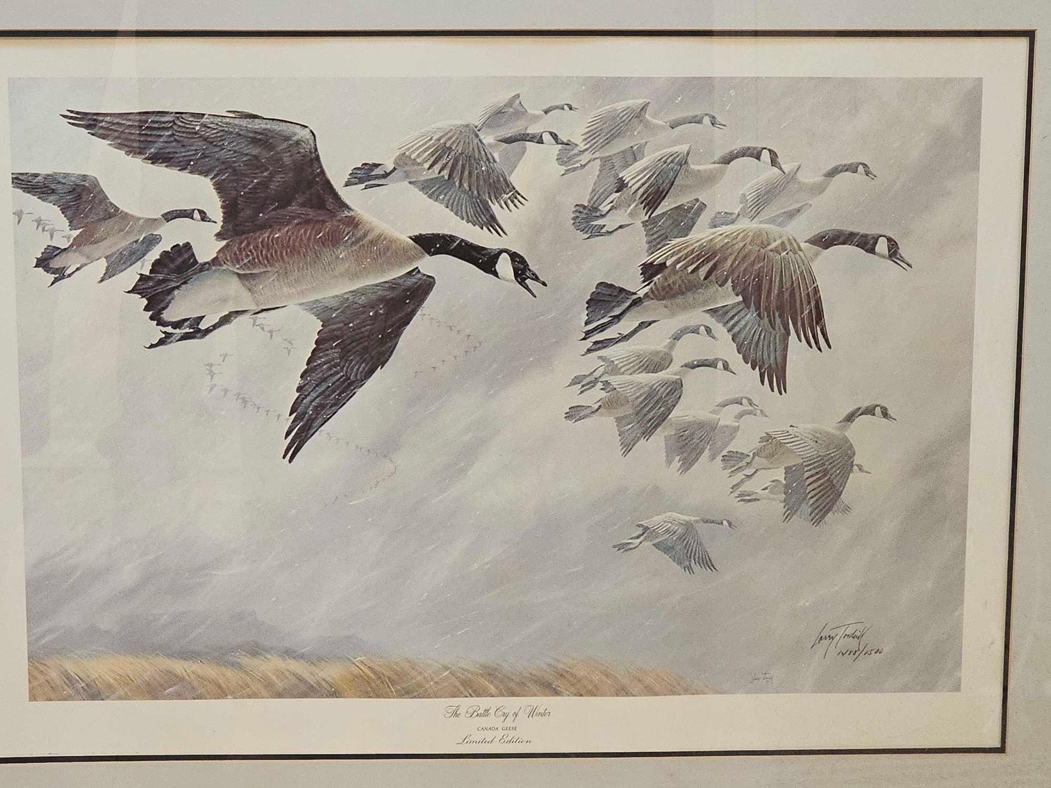 Image for Shannon Park Moving Sale