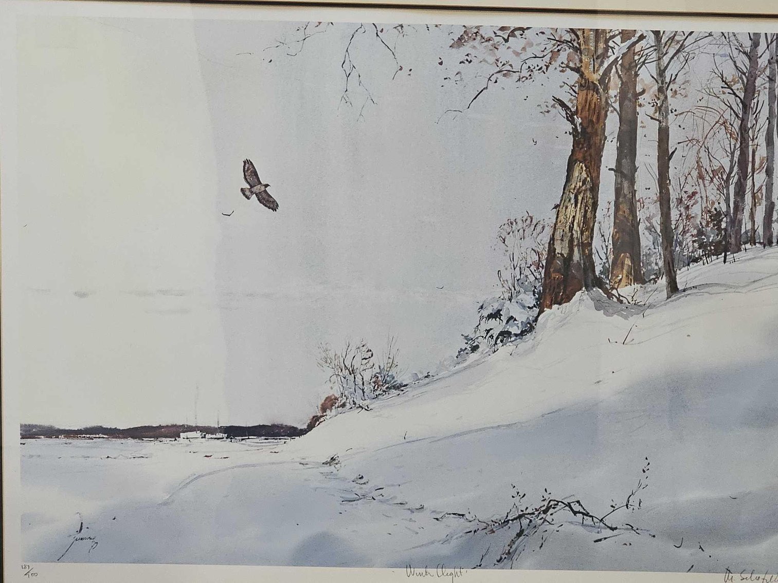 Image for Shannon Park Moving Sale