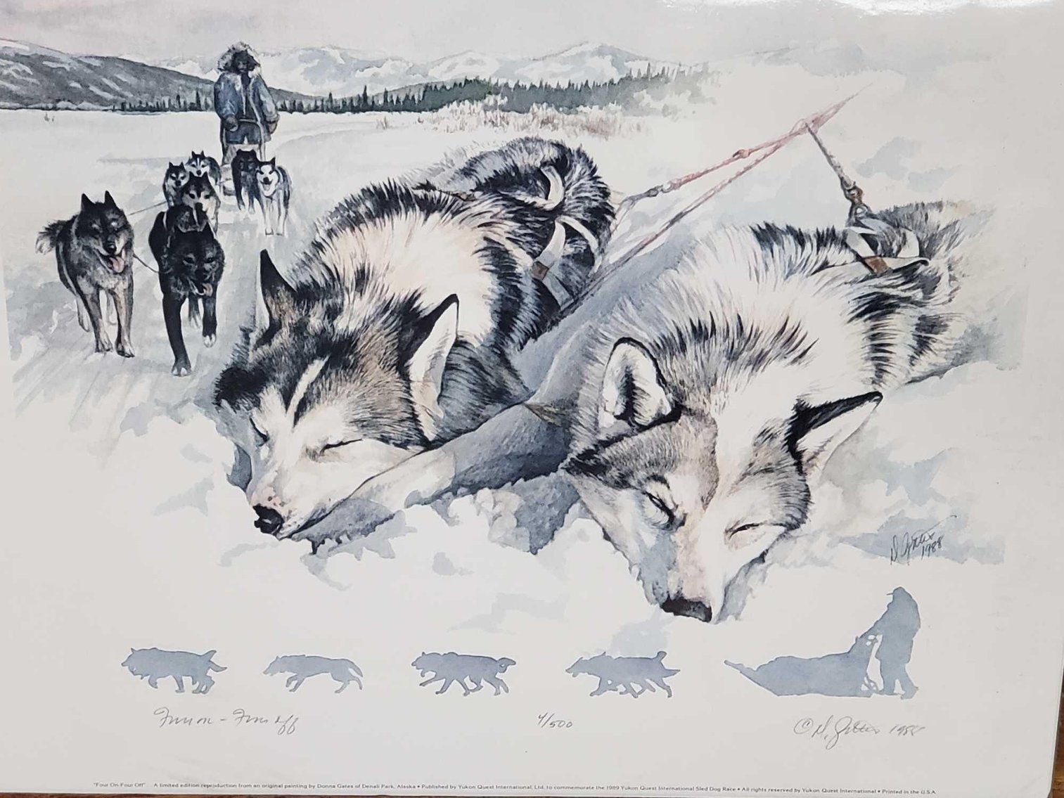 Image for Yukon Quest and Consignments