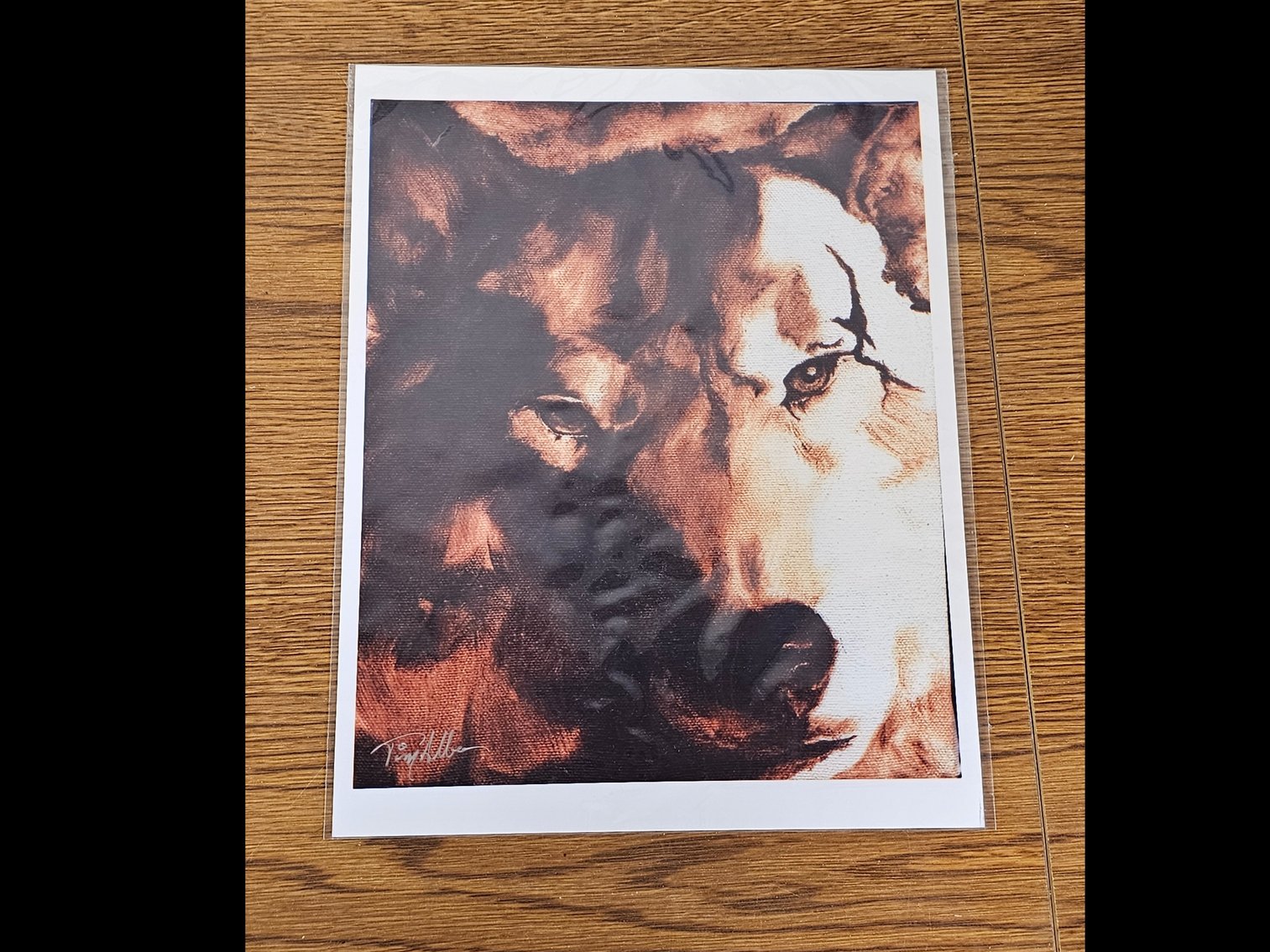 Image for Brandon Collection 2025