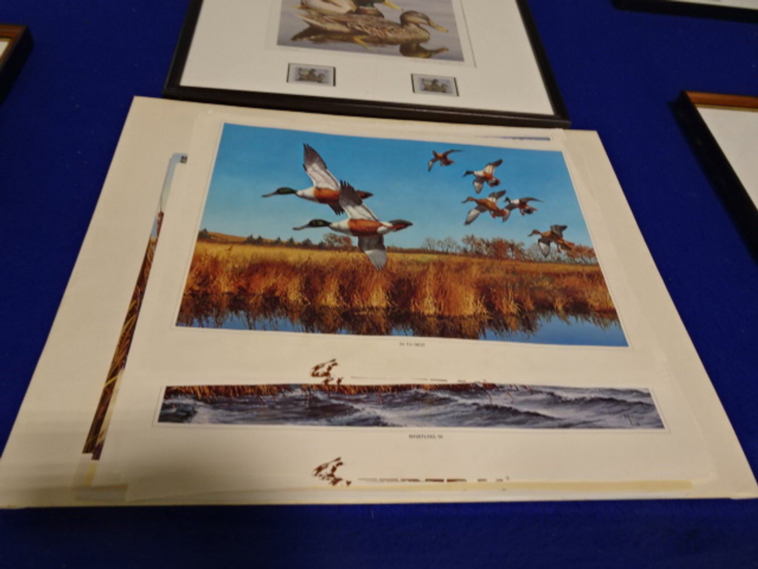 Image for Feb 15, 2024 Public Auction