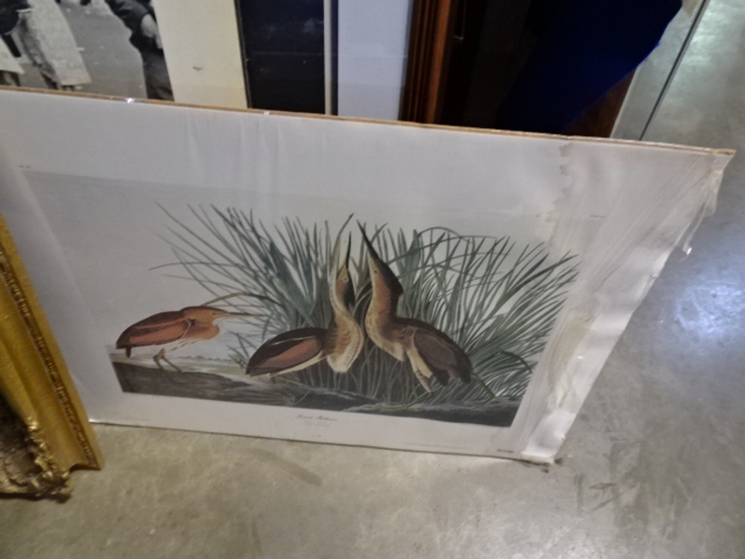 Image for May 9, 2024 Public Auction