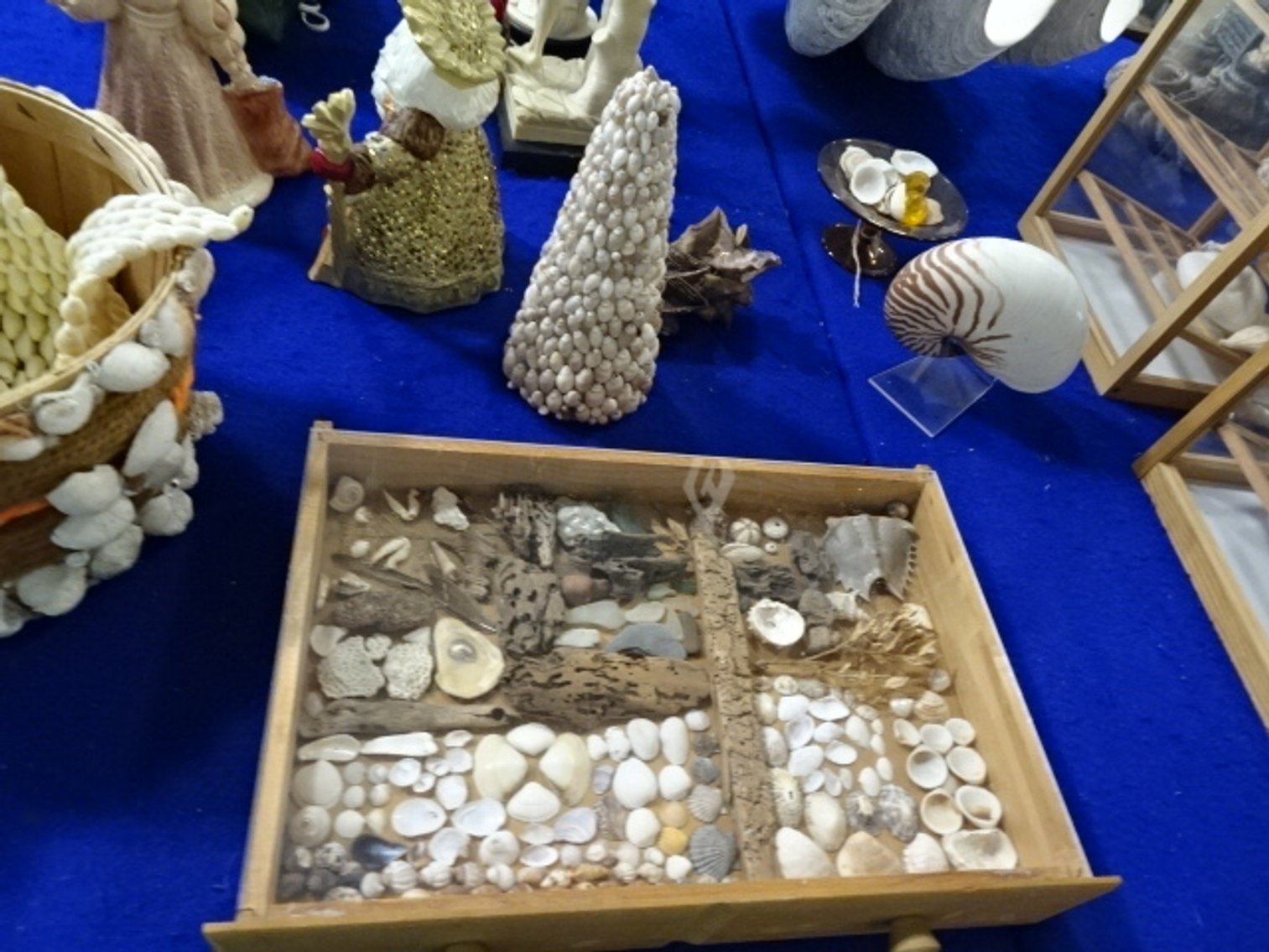 Image for Jun 20, 2024 Public Auction