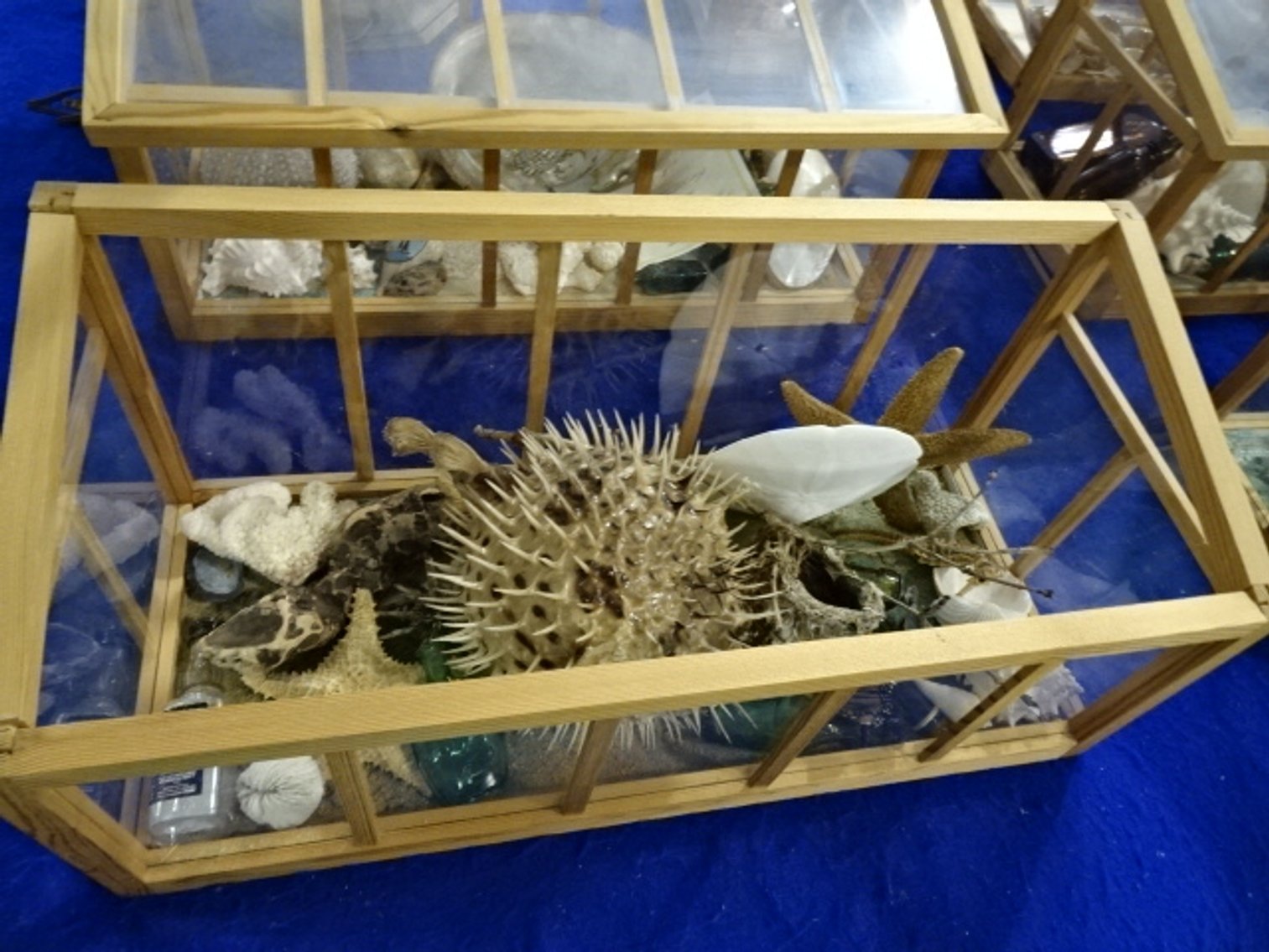 Image for Jun 20, 2024 Public Auction