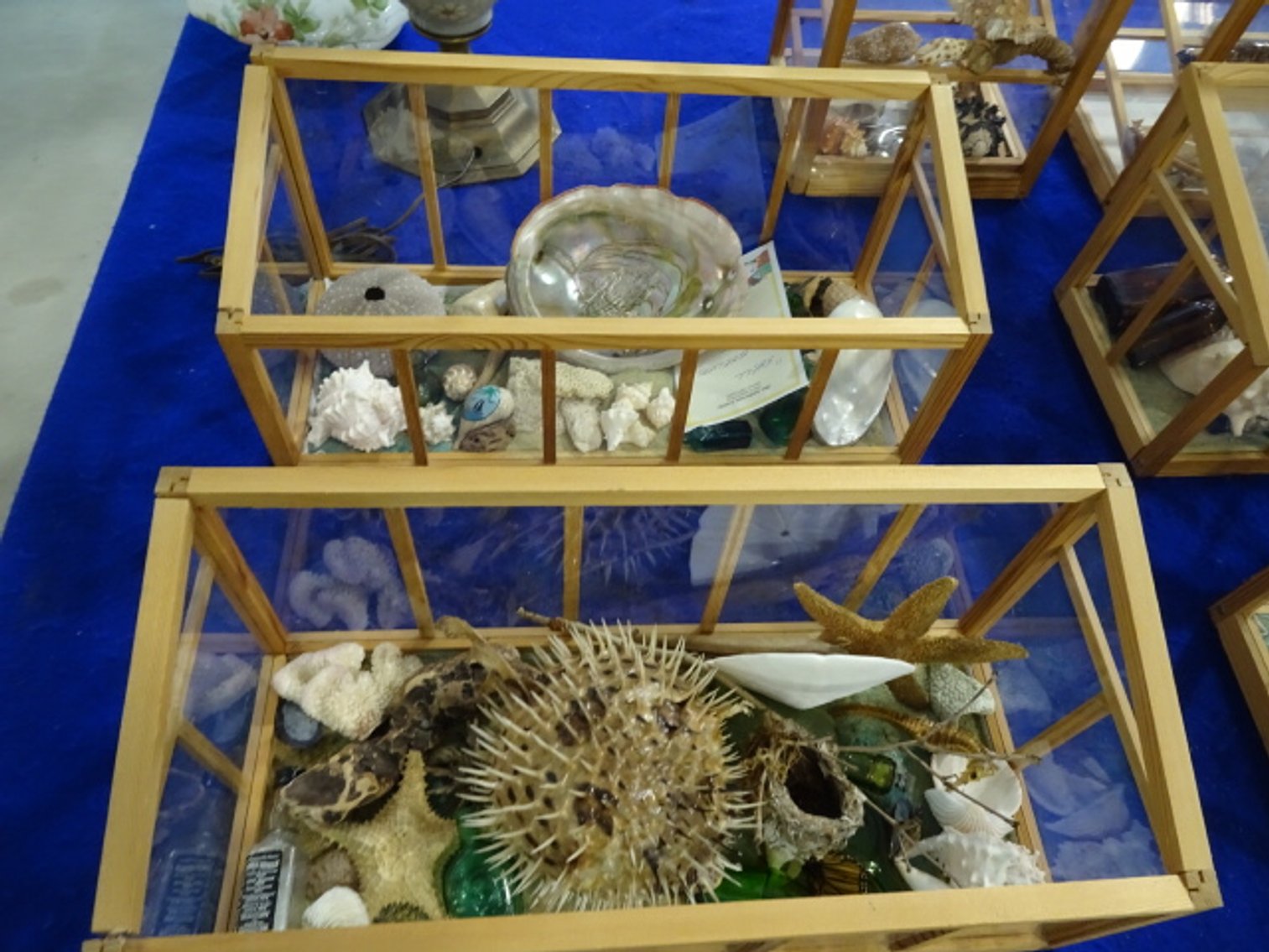 Image for Jun 20, 2024 Public Auction