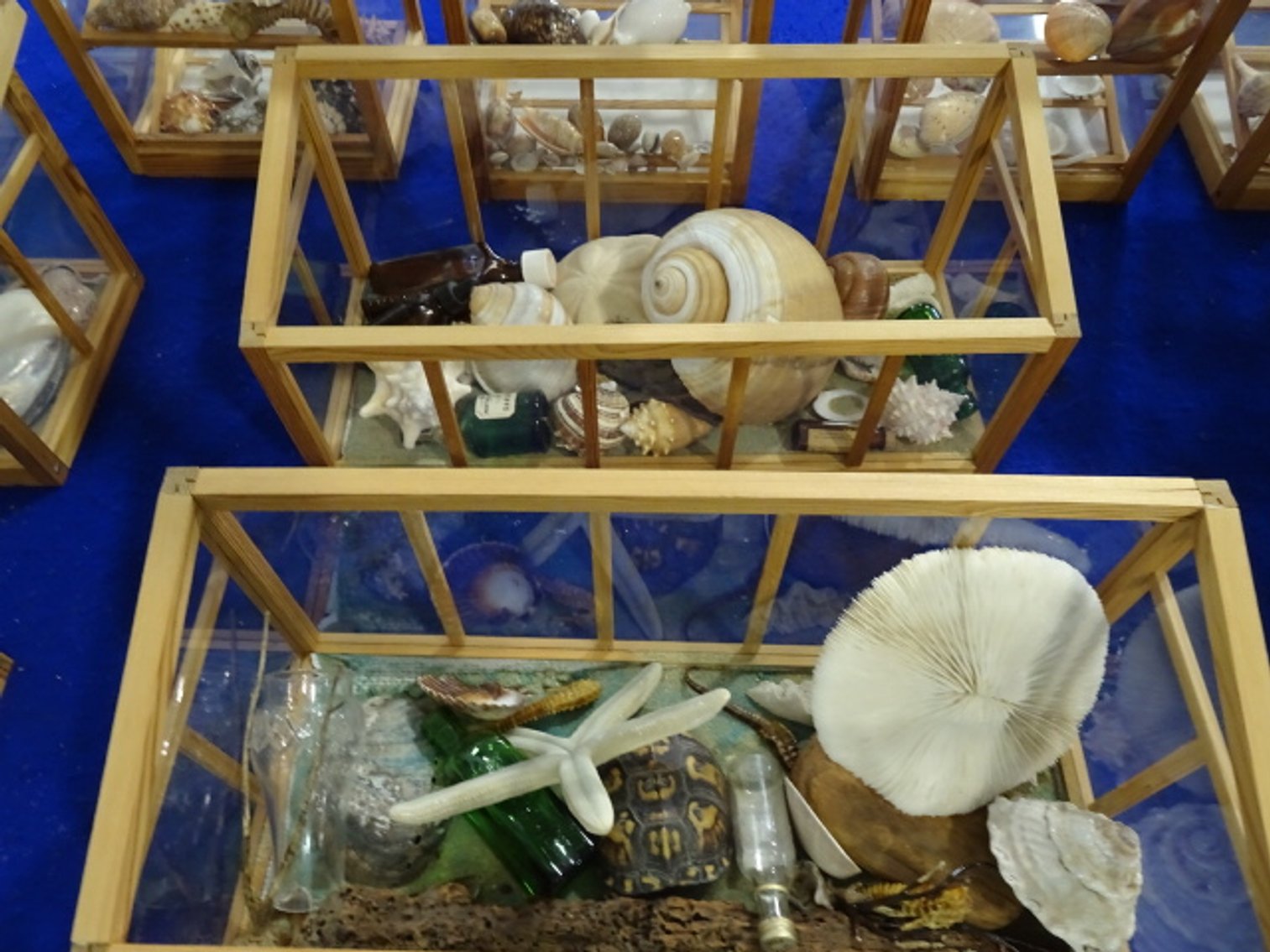 Image for Jun 20, 2024 Public Auction