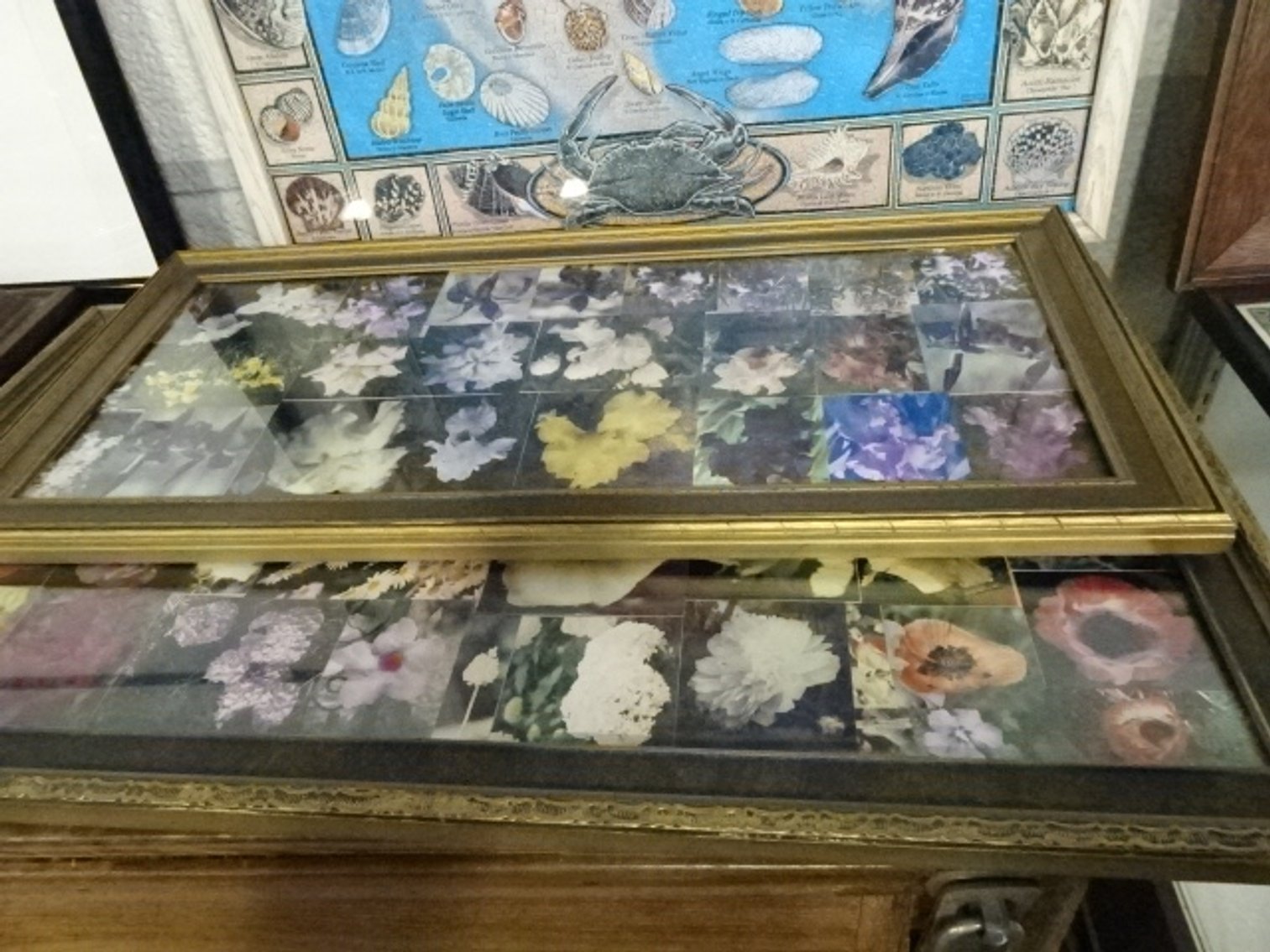 Image for Jun 20, 2024 Public Auction