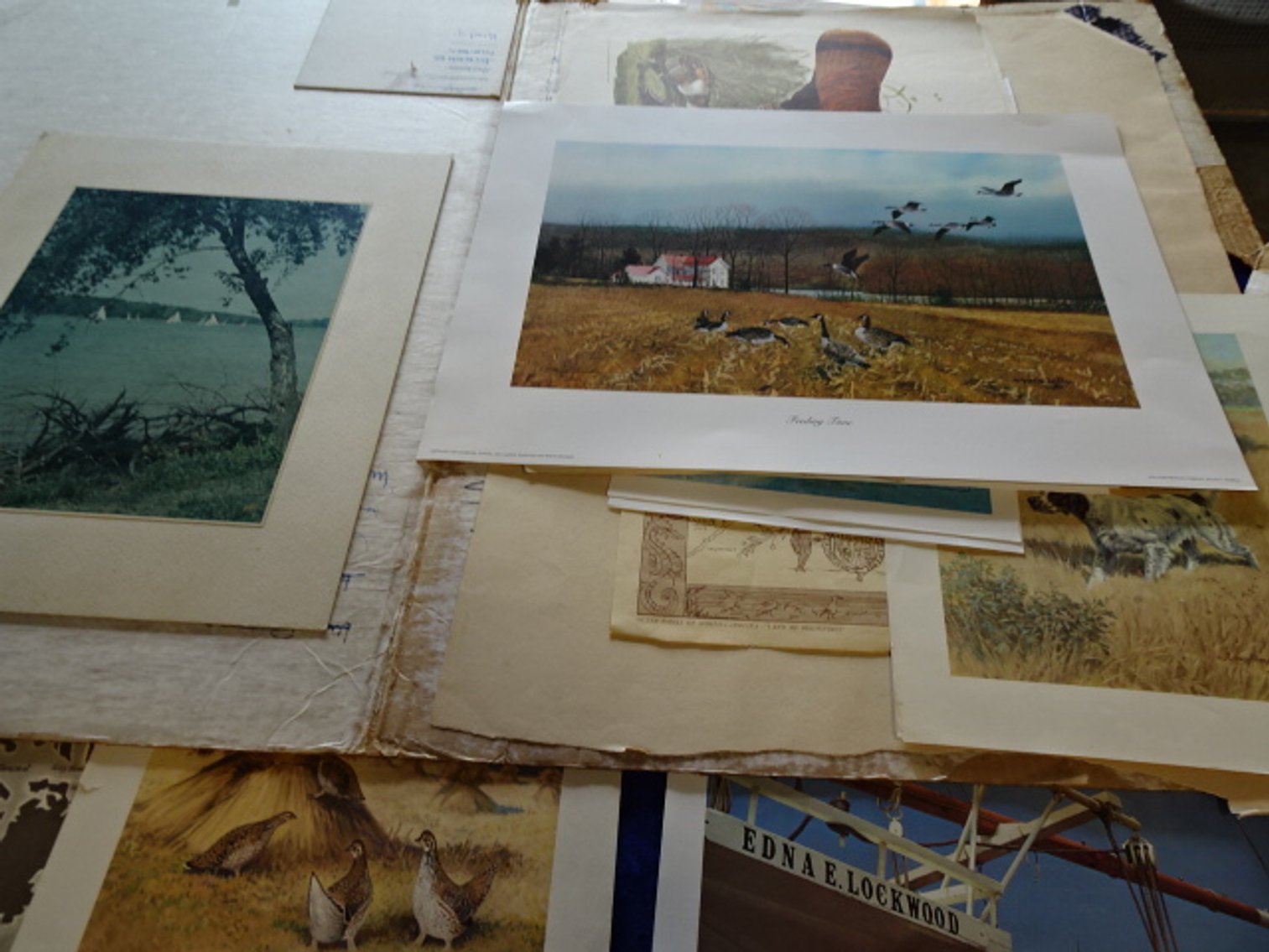 Image for Aug 1,, 2024 Public Auction