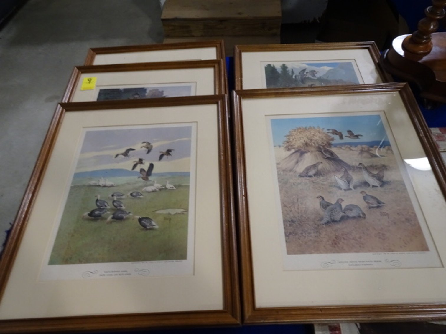 Image for Nov 21, 2024 Public Auction