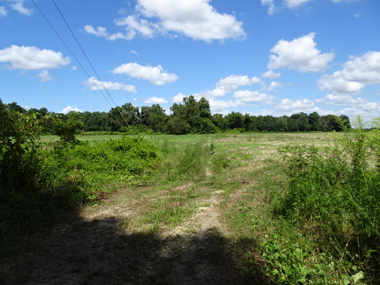 Image for Estate Auction - Real Estate Public Auction