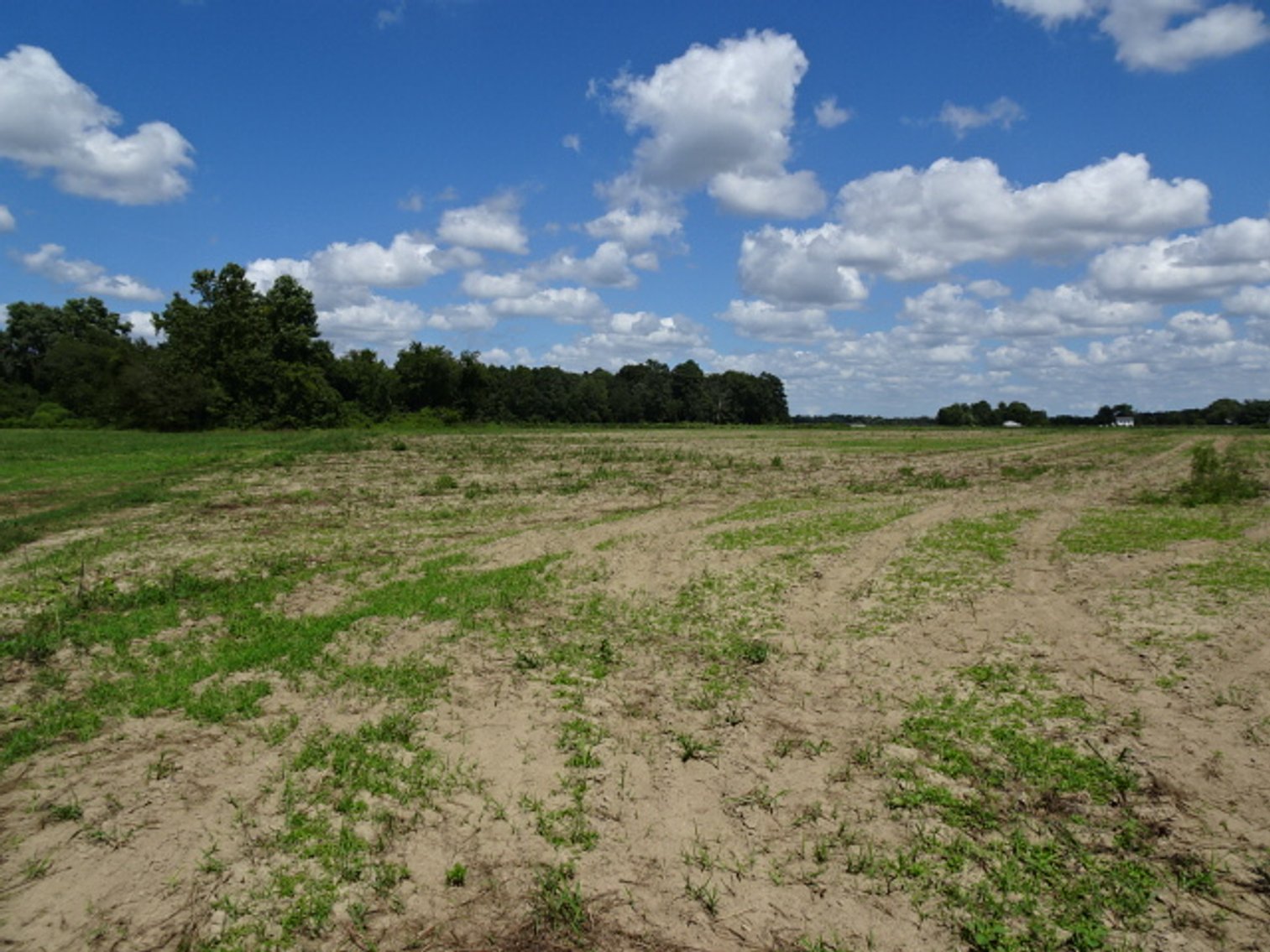 Image for Estate Auction - Real Estate Public Auction