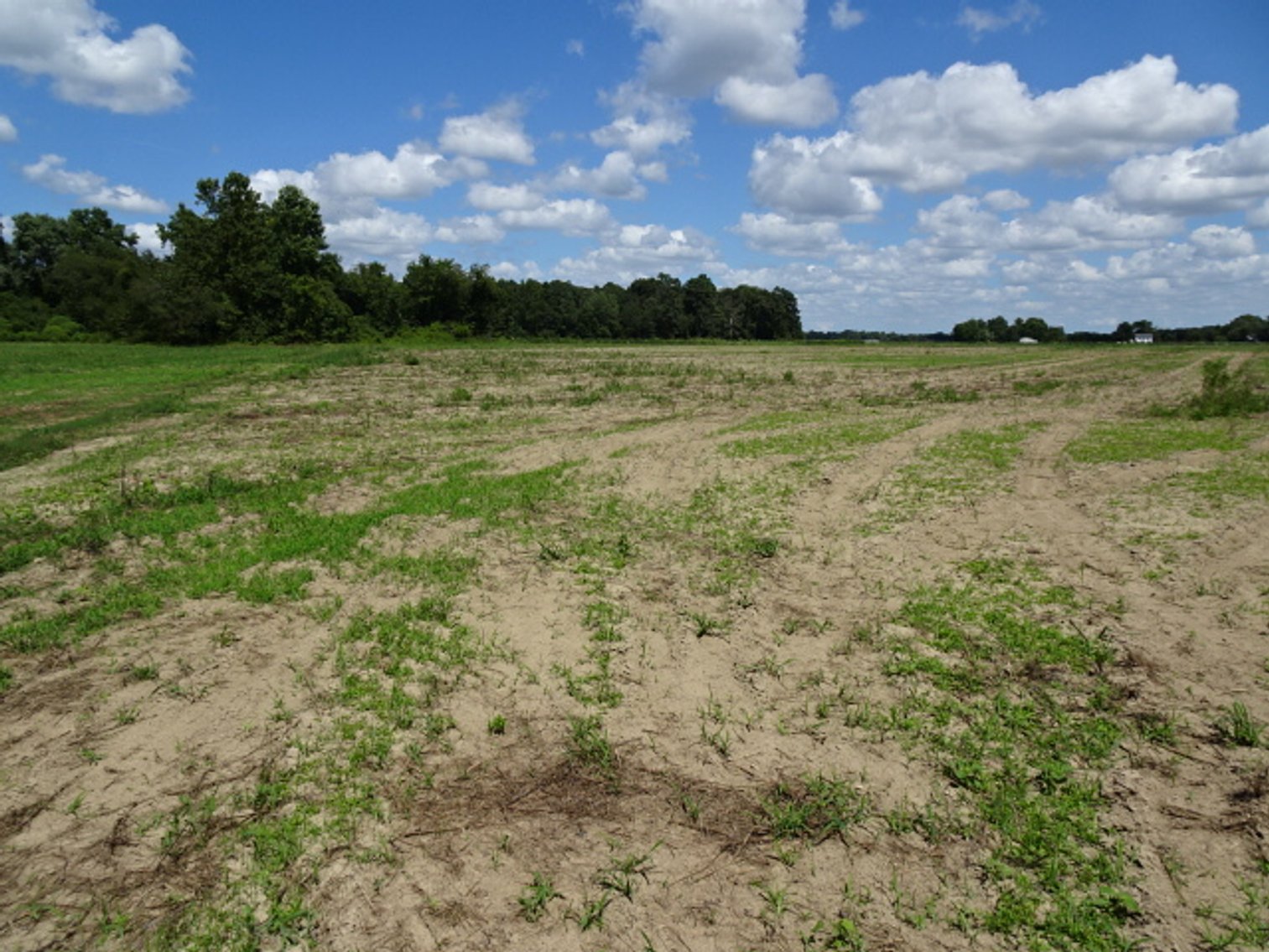 Image for Estate Auction - Real Estate Public Auction