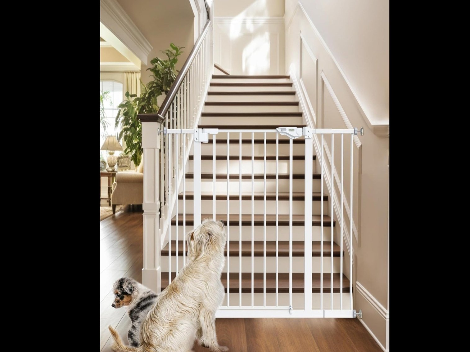 Image for Jan 1 New Years Online Auction Spectacular!