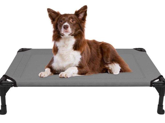 Image for Jan 8 Excellent Online Auction