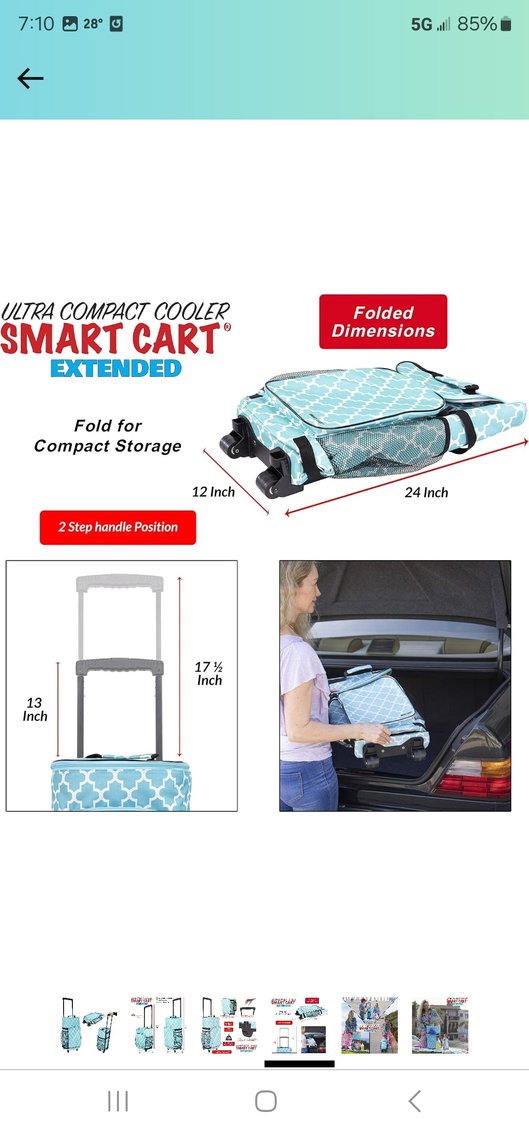 Image for Jan 25 Online Awesomeness Auction