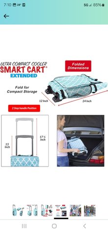 Image for Jan 25 Online Awesomeness Auction