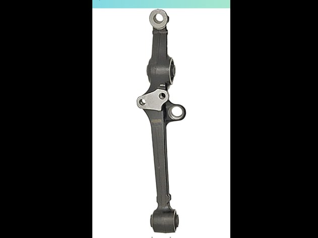 Image for Jan 29 Online Variety Auction