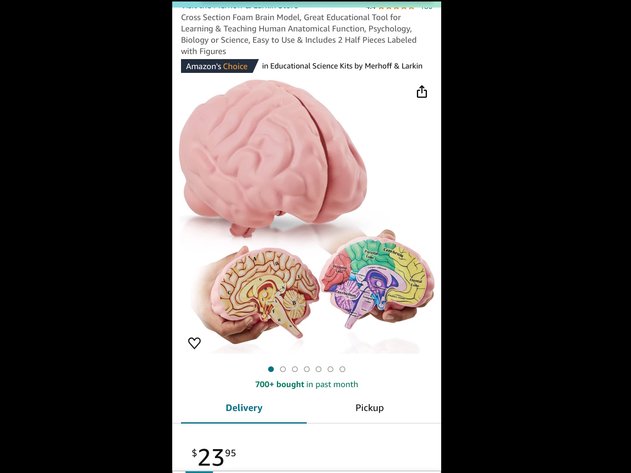 Image for March 21 Online Variety Auction