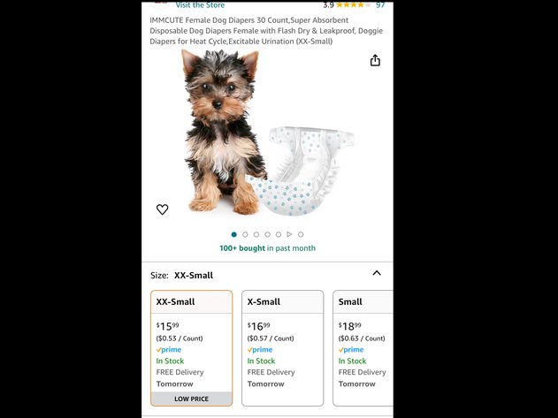 Image for March 28 Online Auction Fun!