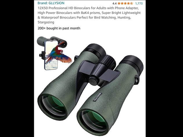 Image for Aug 26 Online Variety Auction