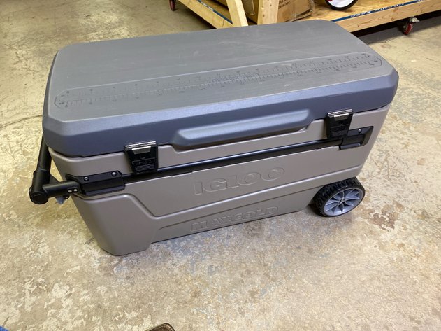 Image for Nov 25 Online Auction Excitement