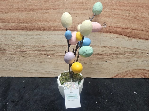 Image for Aug 4 Online Excitement Monday Auction