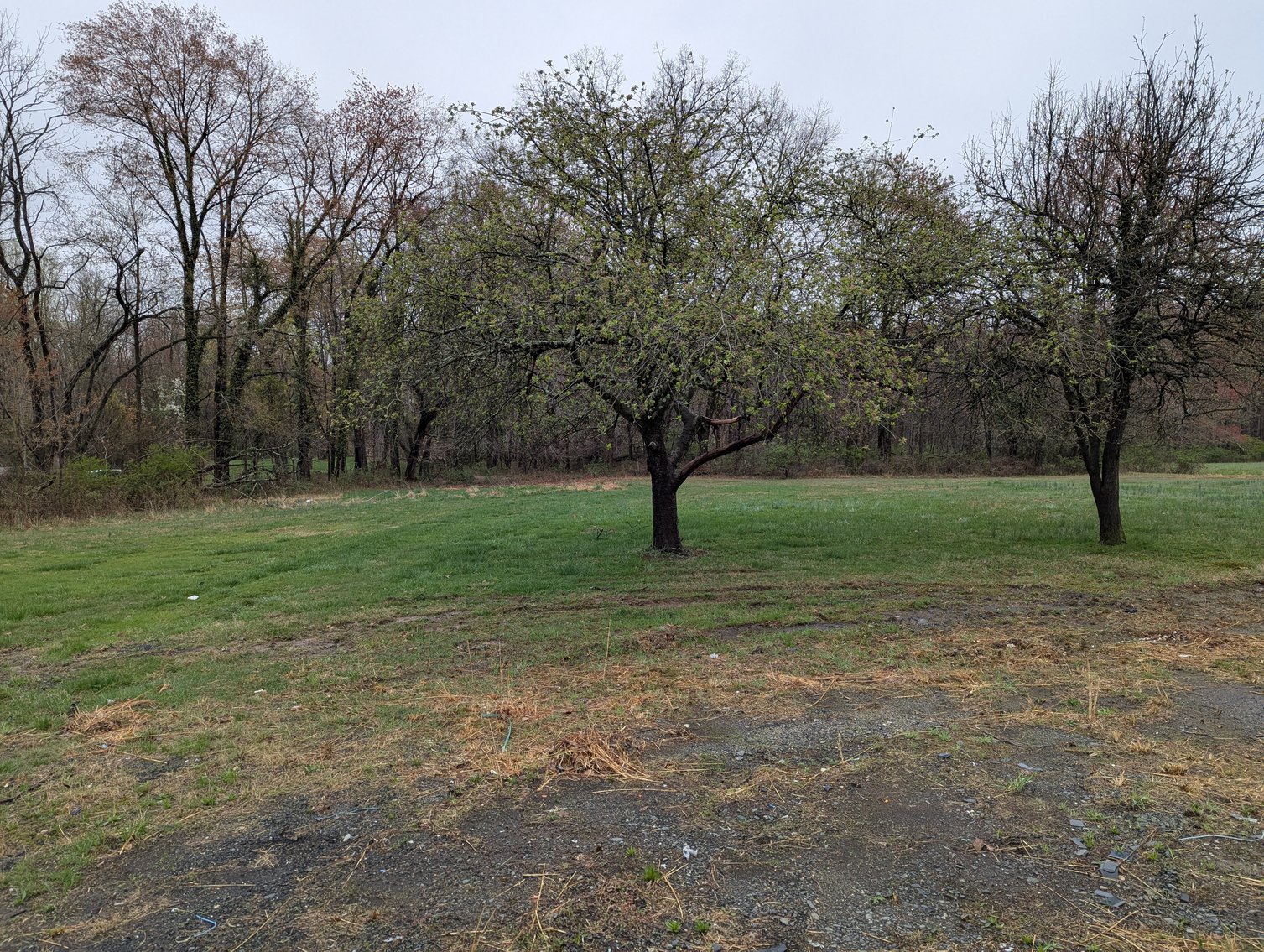 Image for 2-STORY OFFICE BLDG., 62'X40' BLOCK-FRAME SHOP, 40'X24' 3-BAY GARAGE FORMER BLEVINS HEATING & COOLING