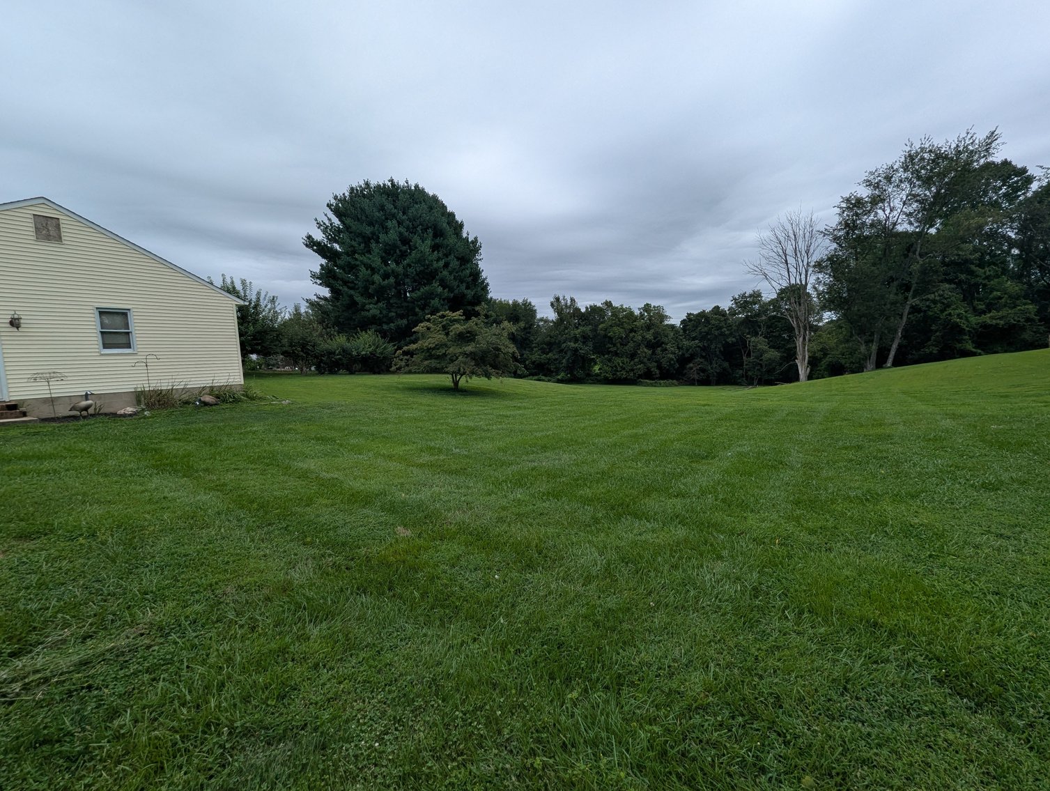 Image for 4 BR, 2.5 BATH HOME W/ ATT. 2-CAR GARAGE/ DET. 3-BAY GARAGE W/ ELECTRIC & HVAC, 20' X 12' SHED/ 1.10 +/- AC LOT/ 91' CHEVY CORVETTE, TOOLS, FURNITURE, GLASSWARE, & MORE!