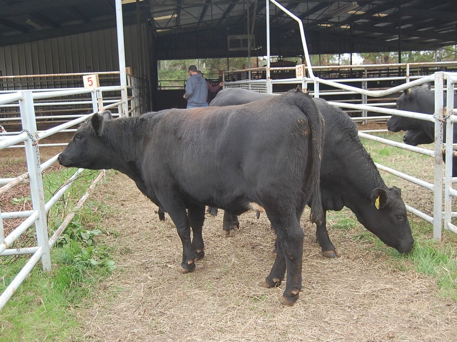 Image for 21st Annual Sale