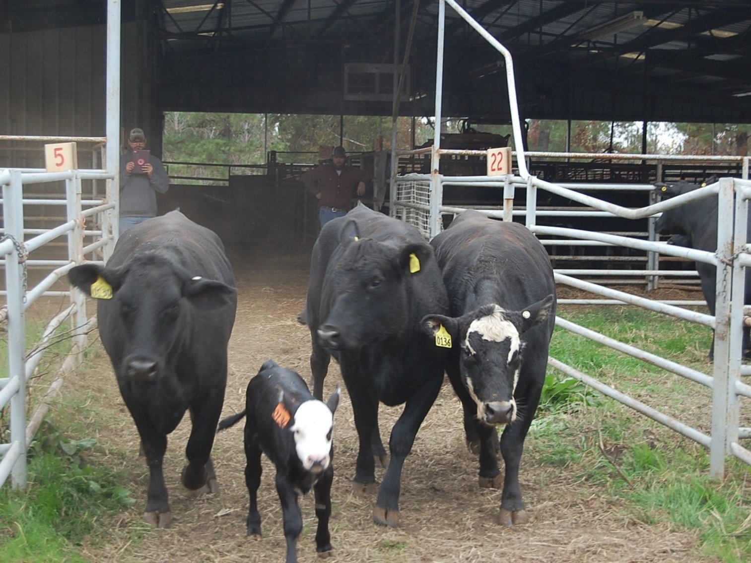 Image for 21st Annual Sale