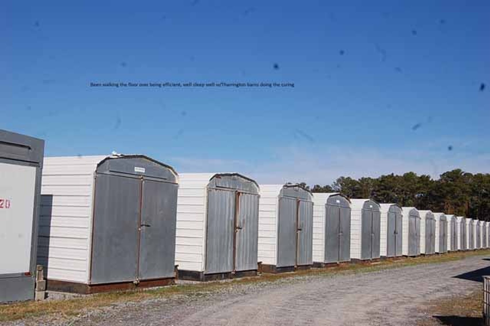 Image for Henry Bunn - Bunn Farms