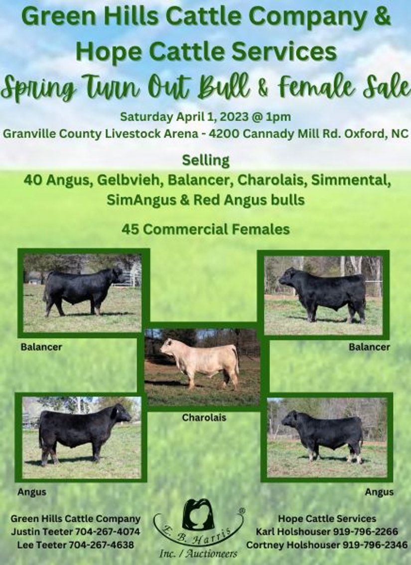 Image for Green Hills Cattle