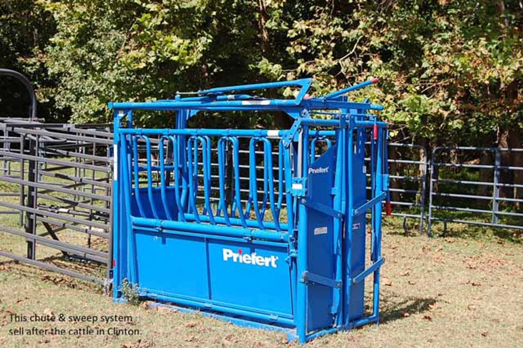 Image for CATTLE AUCTION - OCT. 28 -2023