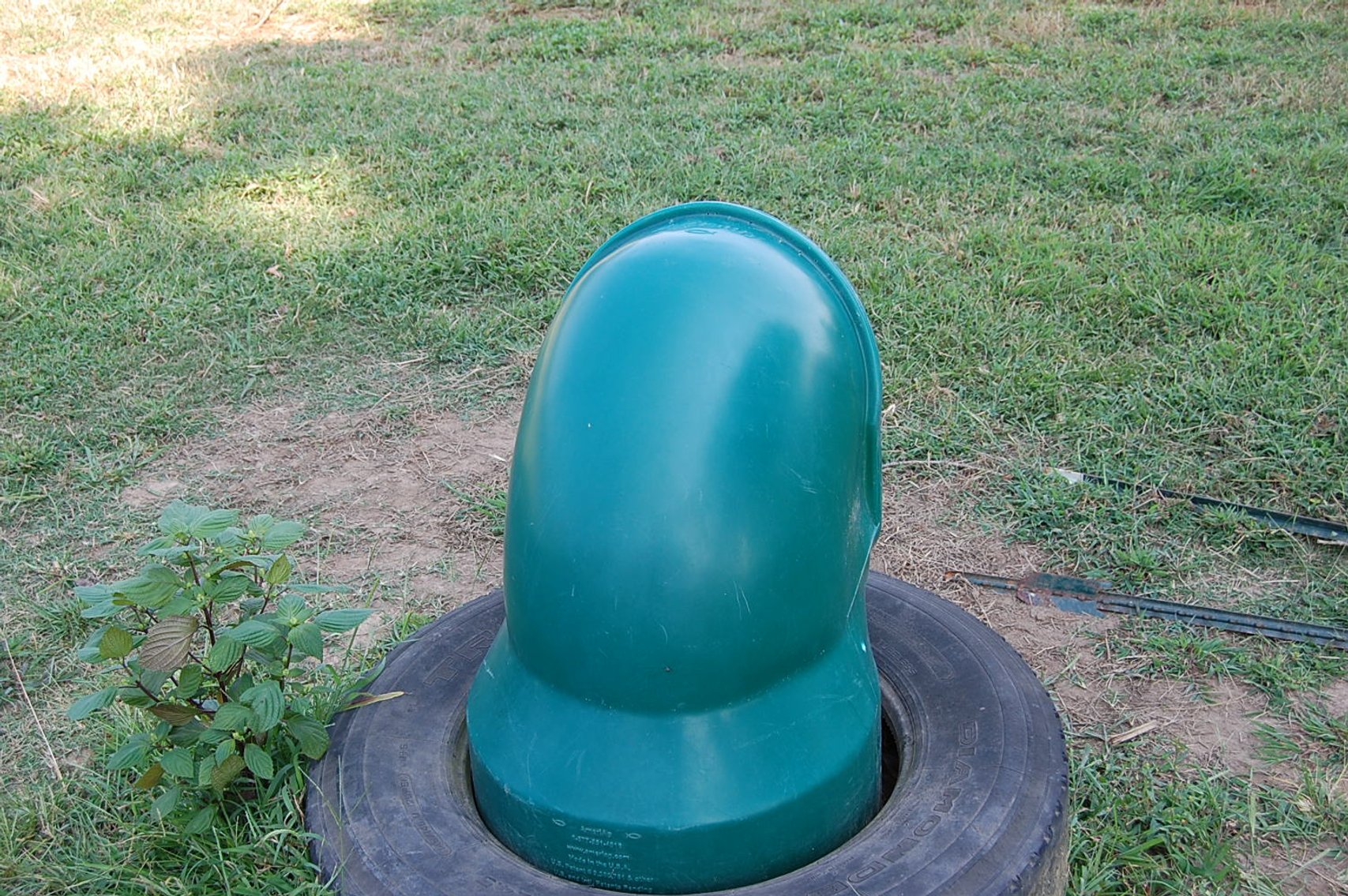 Image for Cattle Auction September 27