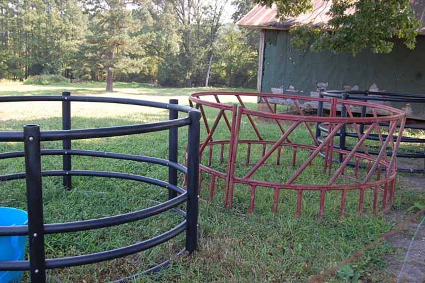 Image for Cattle Auction September 27