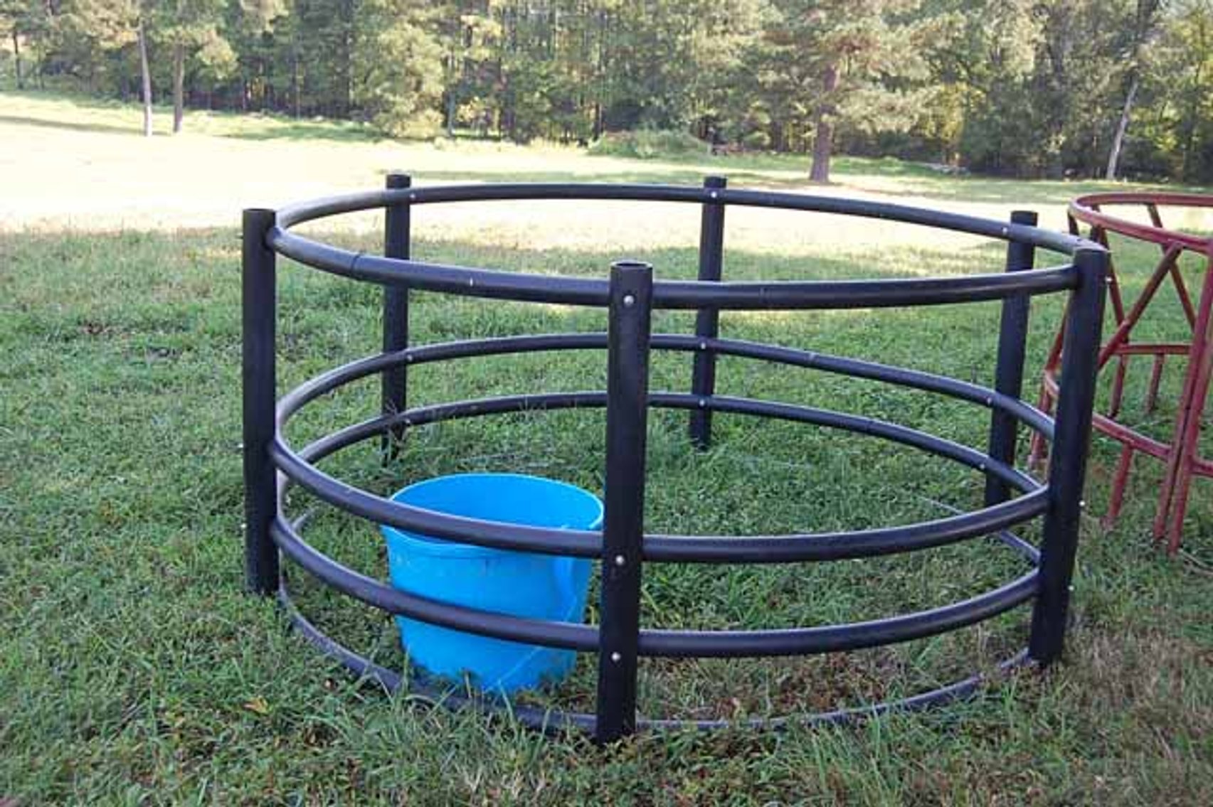 Image for Cattle Auction September 27