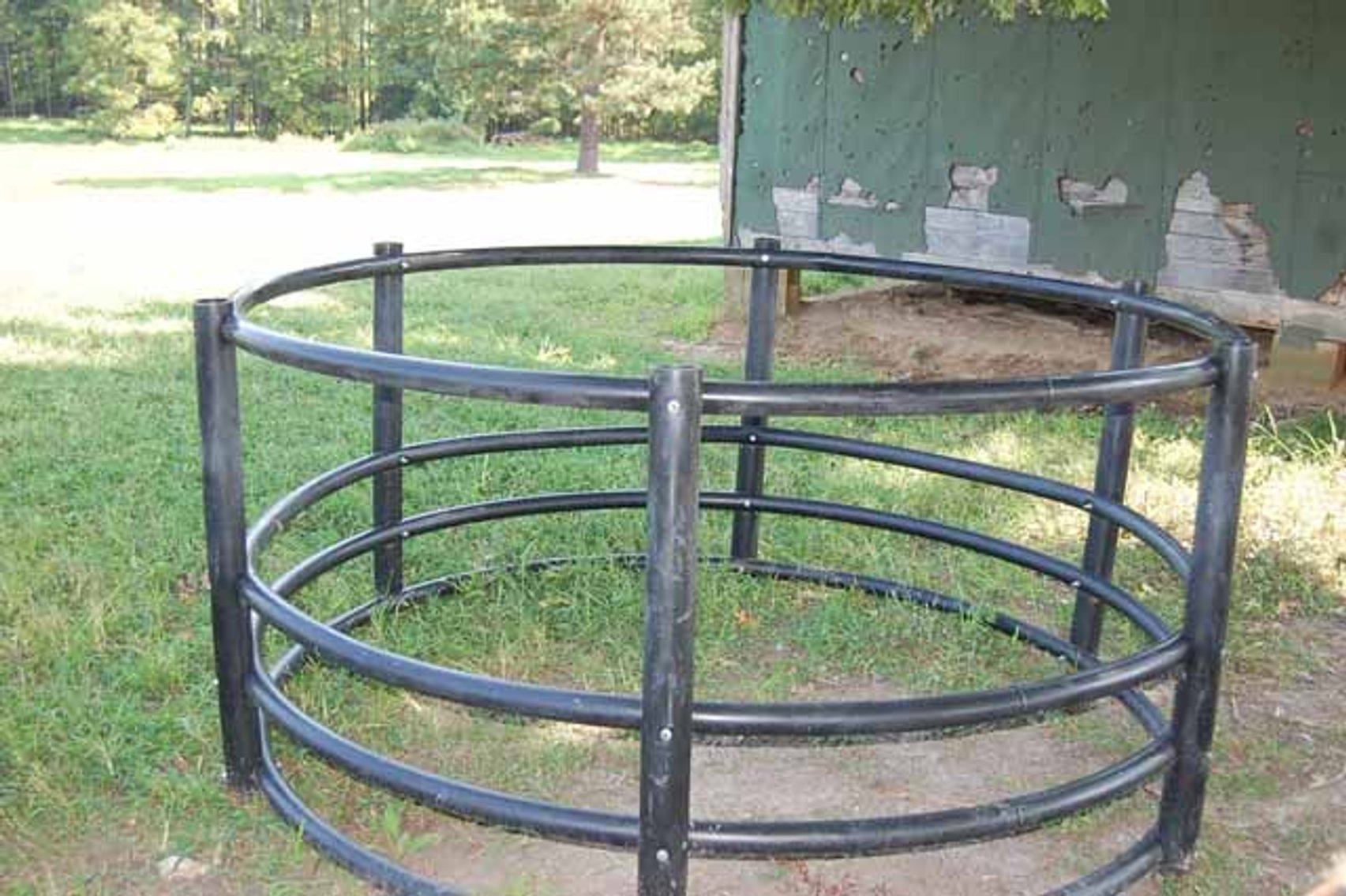 Image for Cattle Auction September 27