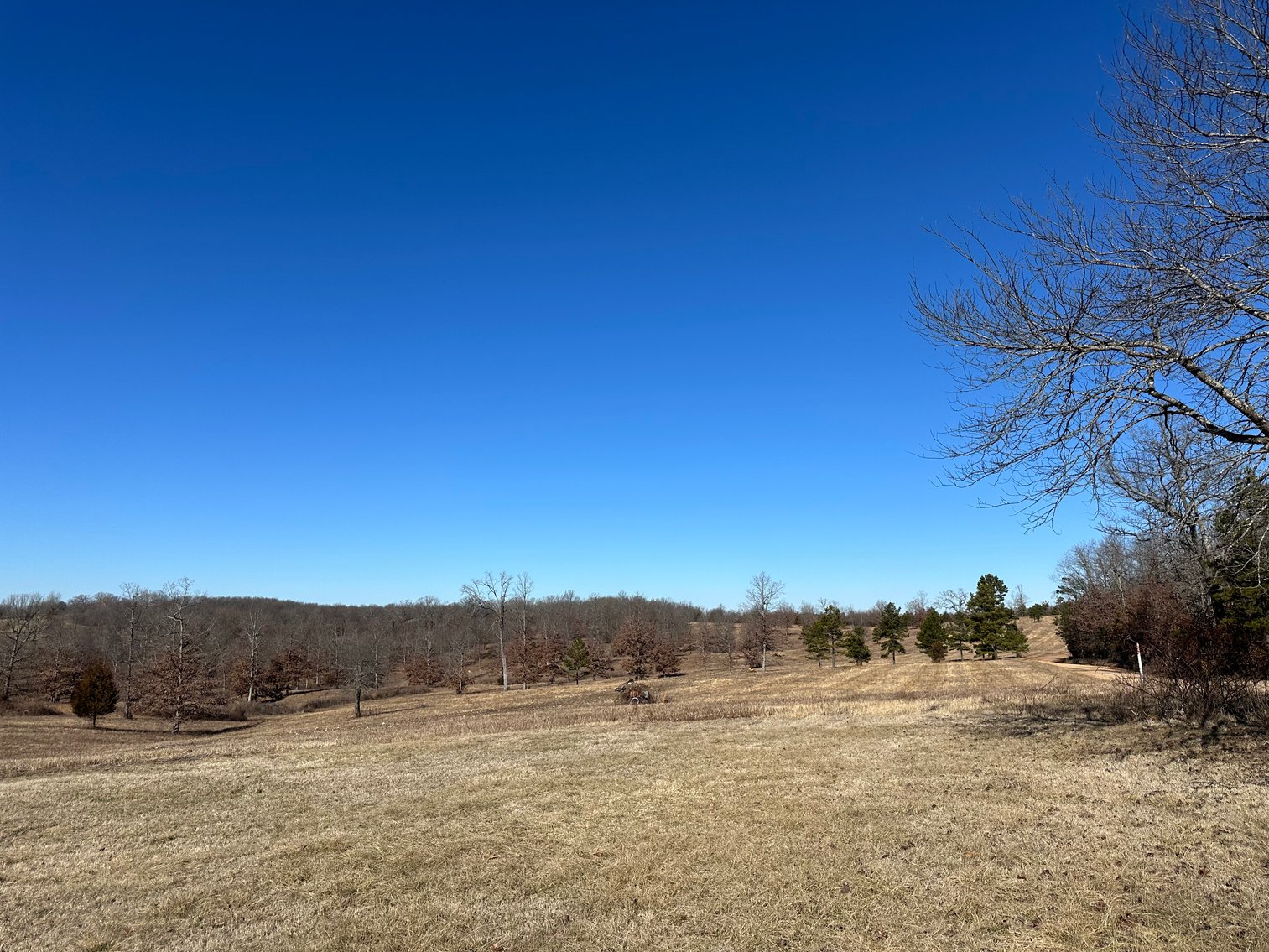 Image for Callahan Land Auction