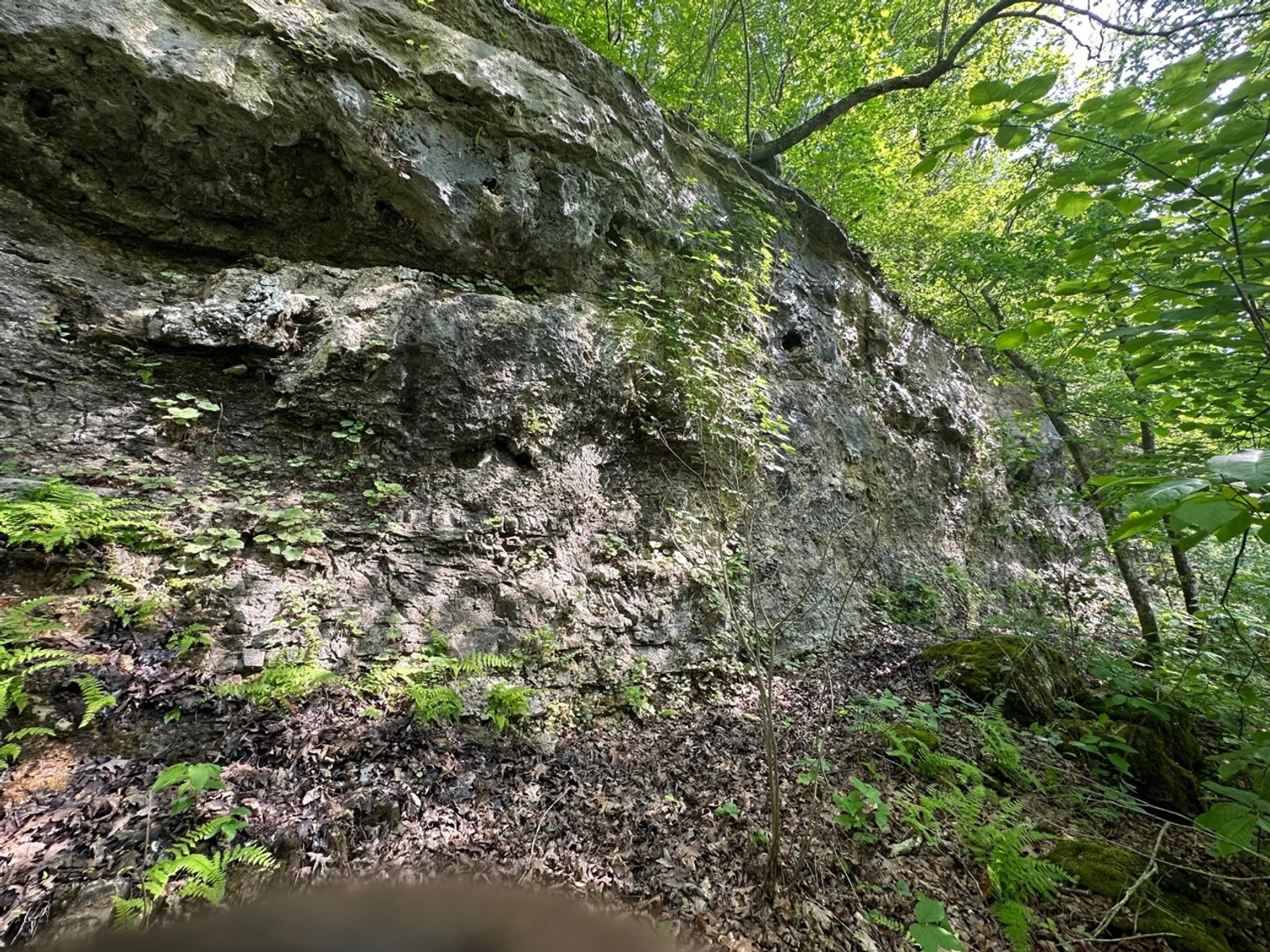 Image for Norfork River Land Auction