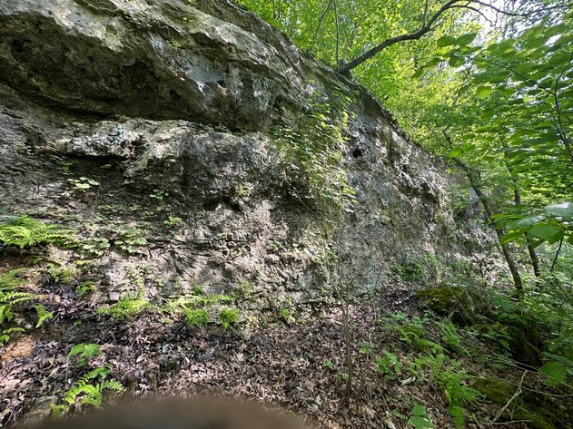 Image for Norfork River Land Auction