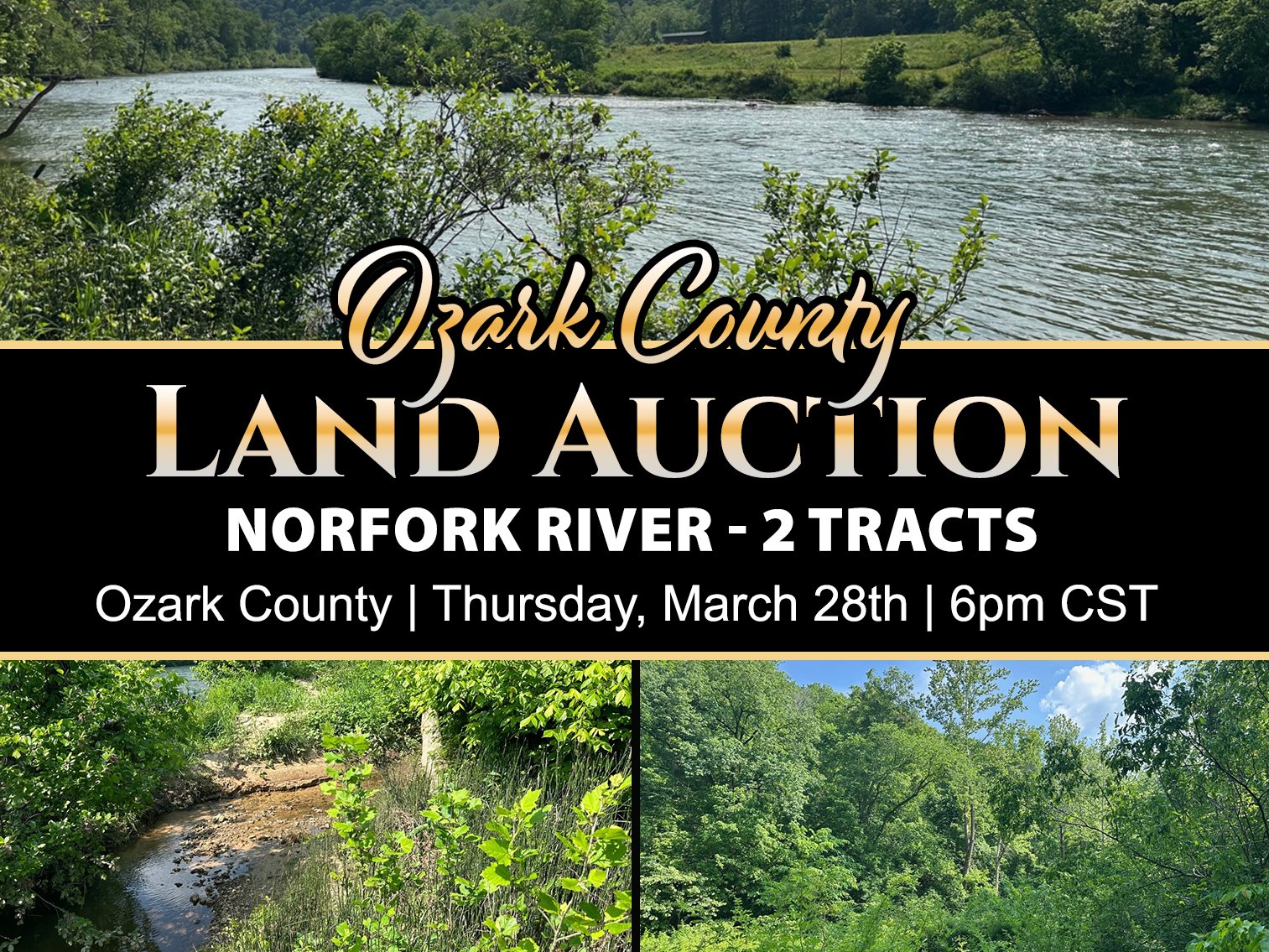 Image for Norfork River Land Auction