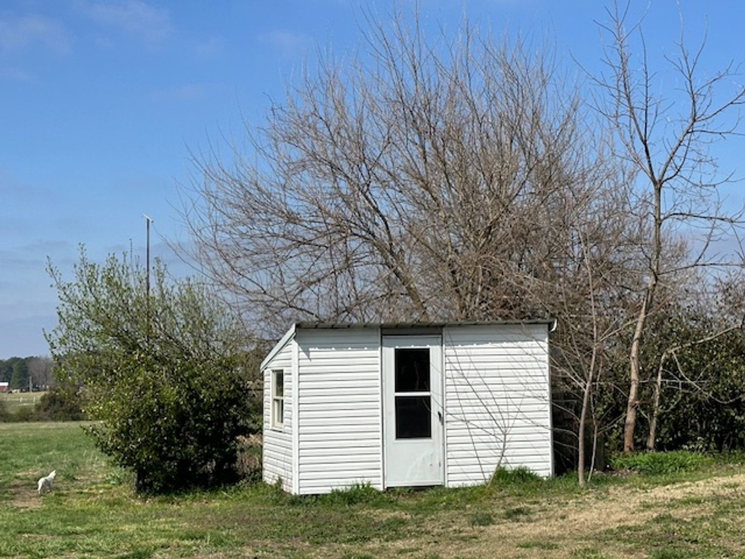 Image for Ross Real Estate Auction